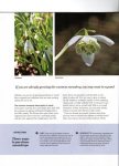 Fine Gardening article 10-16-2017 3-04-35 PM – Copy